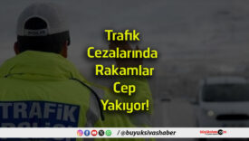 rakamlar