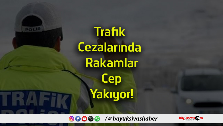 rakamlar