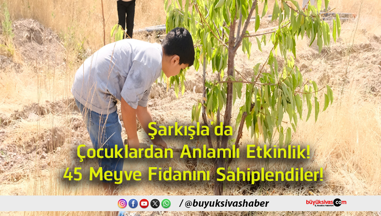 sahiplendiler