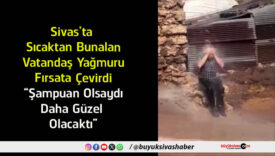 şampuan