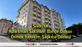 şaşkın