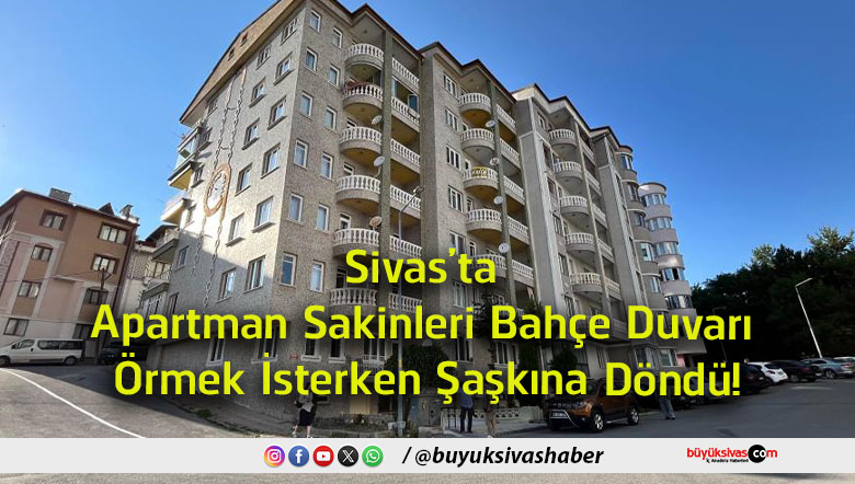 şaşkın