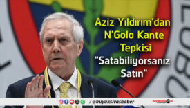 satın