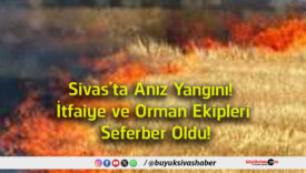 seferber