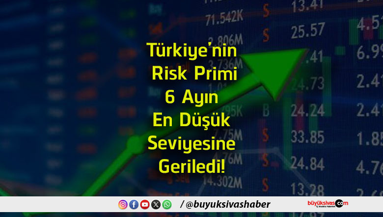 seviyesi