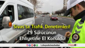 sürücü