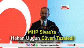 tazeledi