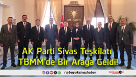 tbmm