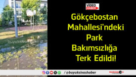 terk