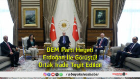 teyit