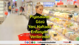 verileri