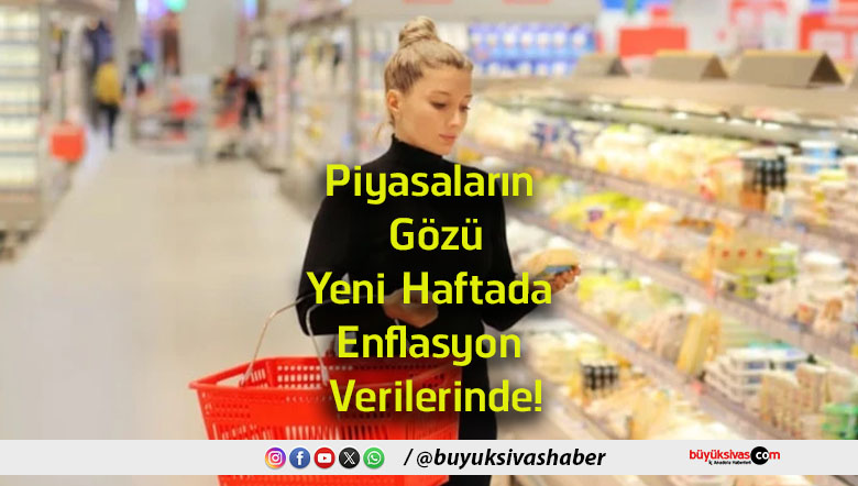 verileri