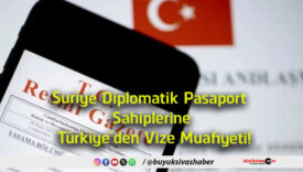 vize