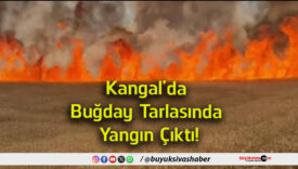 yangın