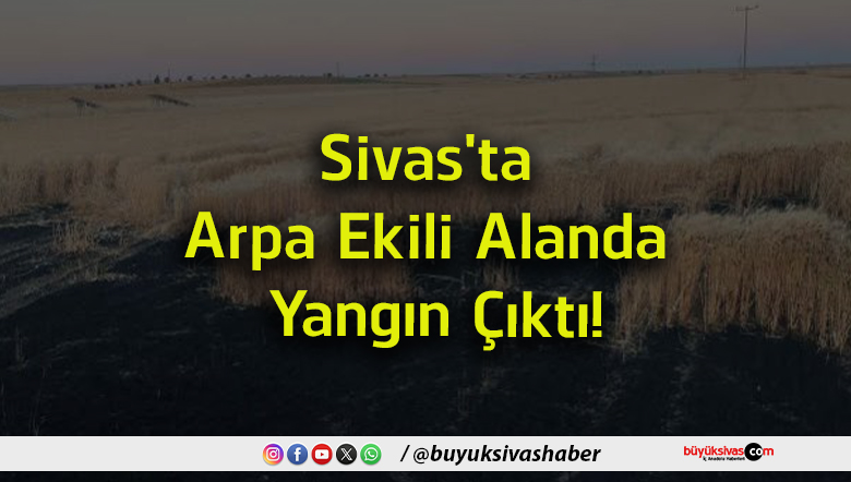 yangın