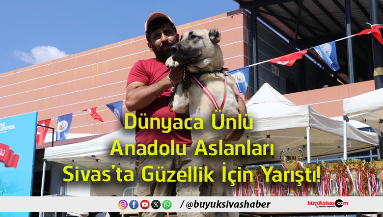 yarıştı
