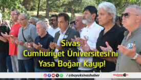 yasa