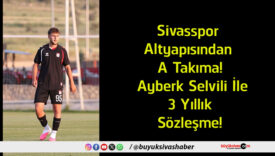 yıllık