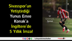 yıllık
