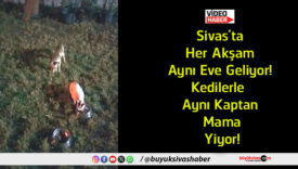 yiyor