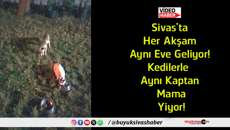 yiyor