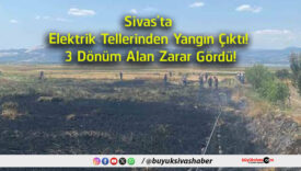 zarar