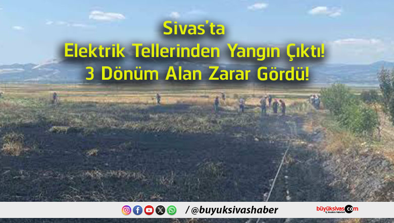 zarar