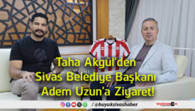 ziyaret