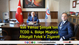 ziyaret