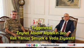 ziyareti