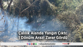 Çalılık Alanda Yangın Çıktı
