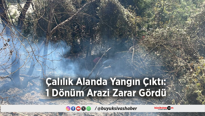 Çalılık Alanda Yangın Çıktı