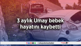 3 aylık