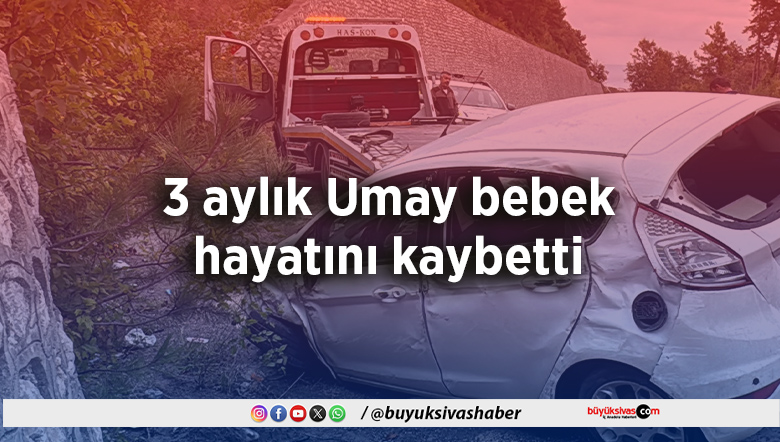 3 aylık