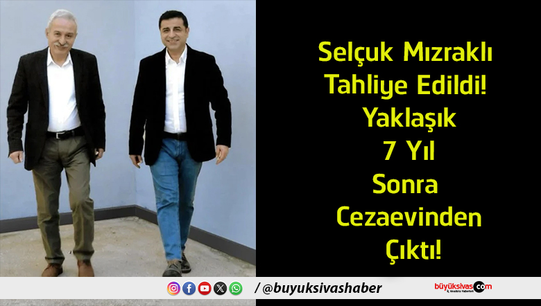 7 yıl
