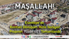 ALLAH
