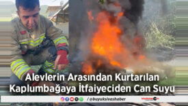 Alevlerin Arasından