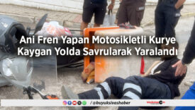 Ani Fren Yapan