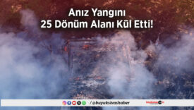 Anız Yangını 25 Dönüm