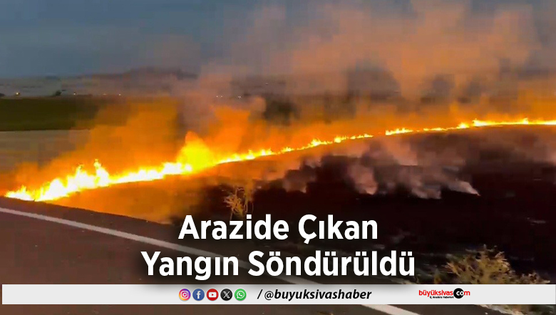 Arazide Çıkan