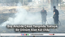 Bir Dönüm Alan Kül Oldu