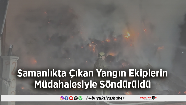 Ekiplerin Müdahalesiyle Söndürüldü