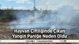 Hayvan Çiftliğinde Çıkan Yangın