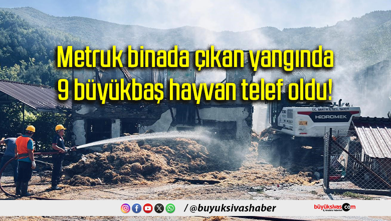 Metruk binada çıkan
