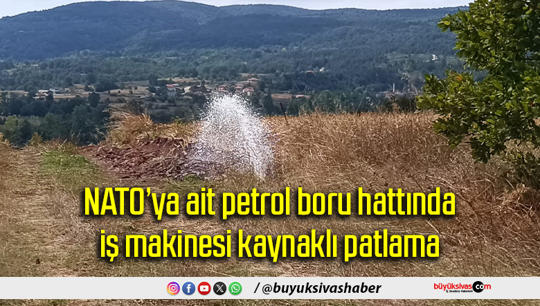 NATO’ya ait