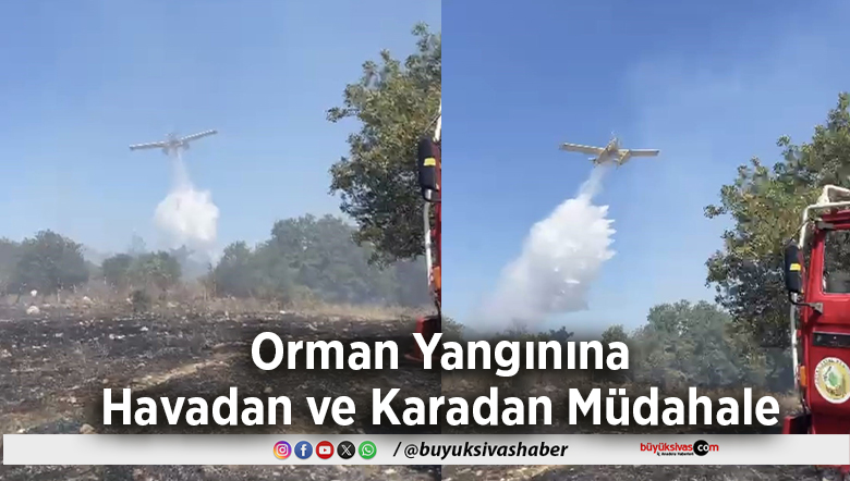 Orman Yangınına Havadan