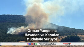 Orman Yangınına