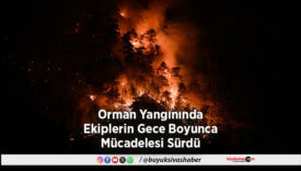Orman Yangınında