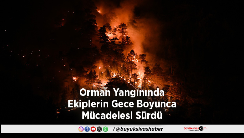 Orman Yangınında