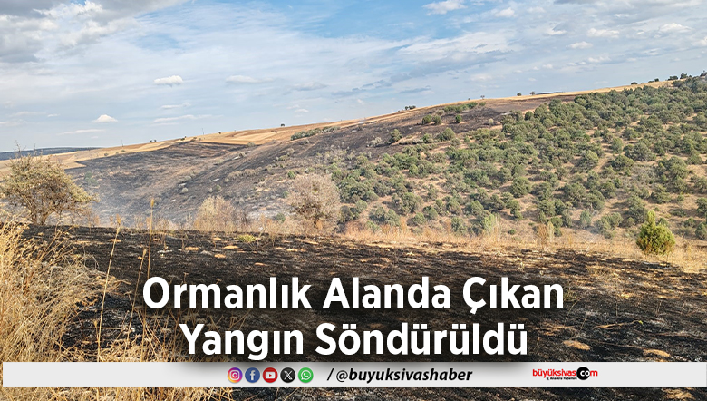 Ormanlık Alanda